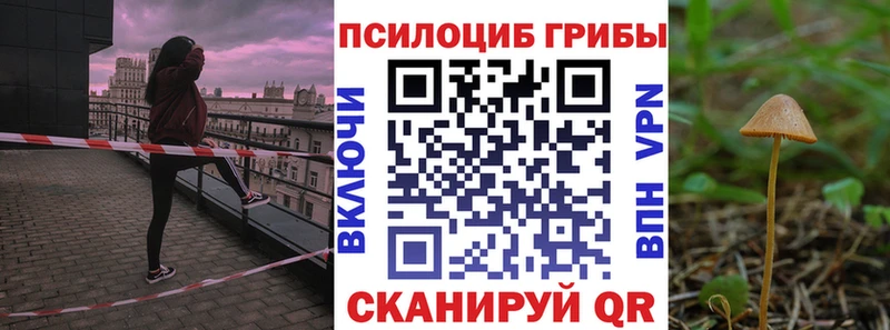 Псилоцибиновые грибы Cubensis  Туапсе 